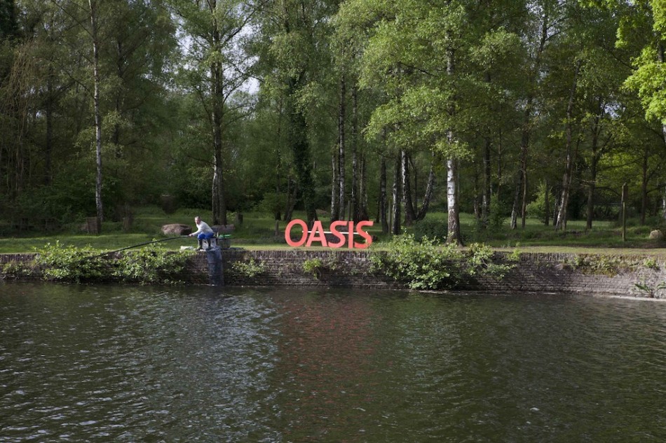 oasis
