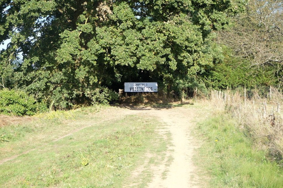 DSCF8297
